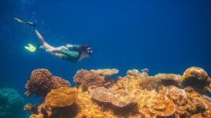 snorkeling 5 11600X900-Recovered-Recovered-Recovered_0001_istockphoto4