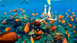 snorkeling (1)
