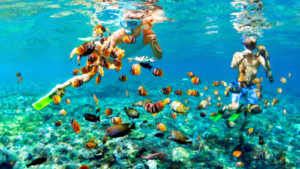 snorkeling (4)